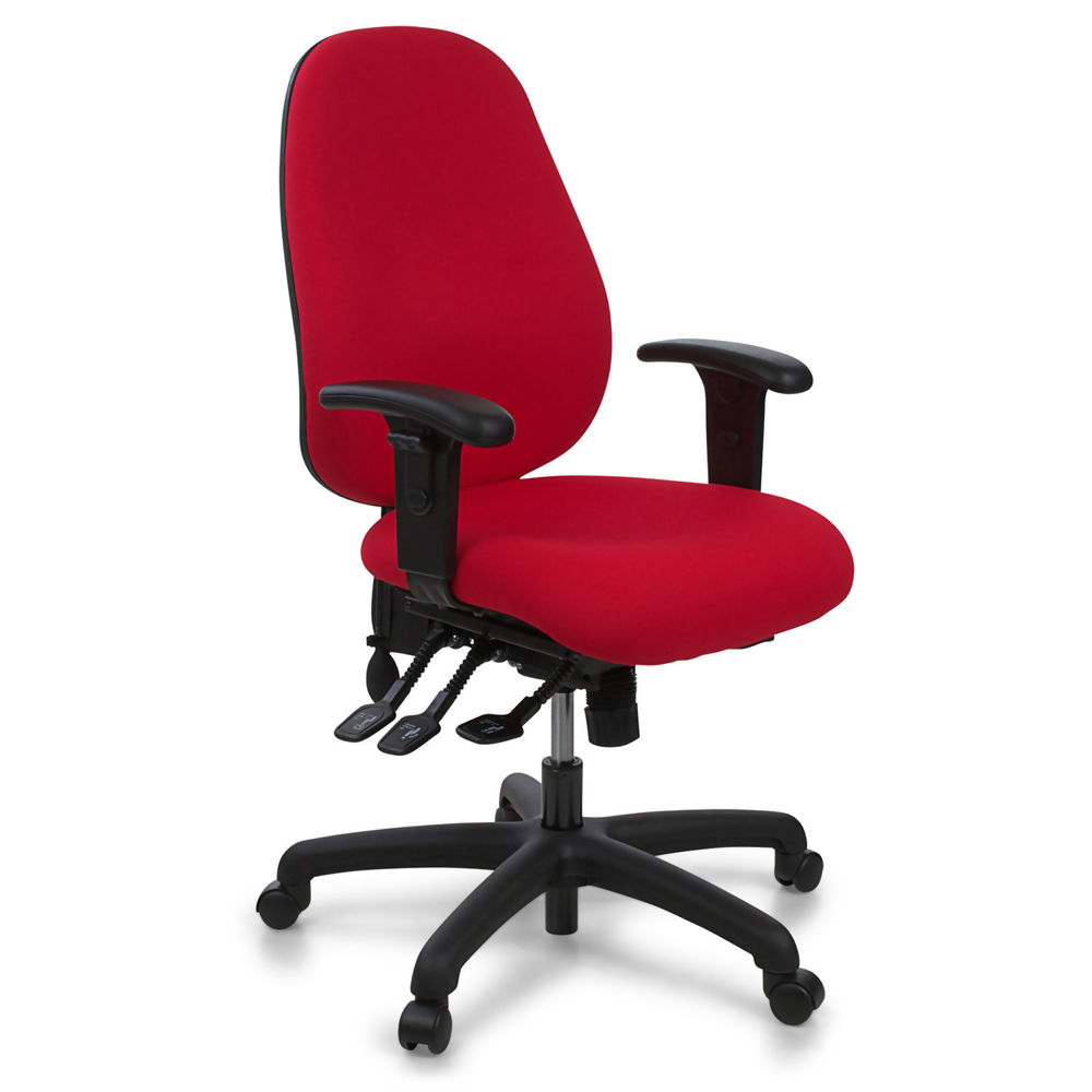 BW Ergonomic Office Chair (High Back/Std Seat)