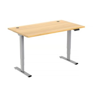 Freedom PLUS Electric Standing Desk